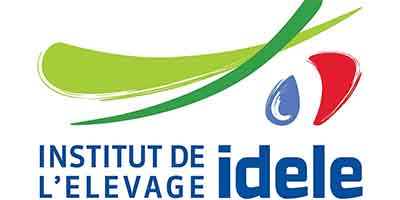 IDELE-logo.jpg