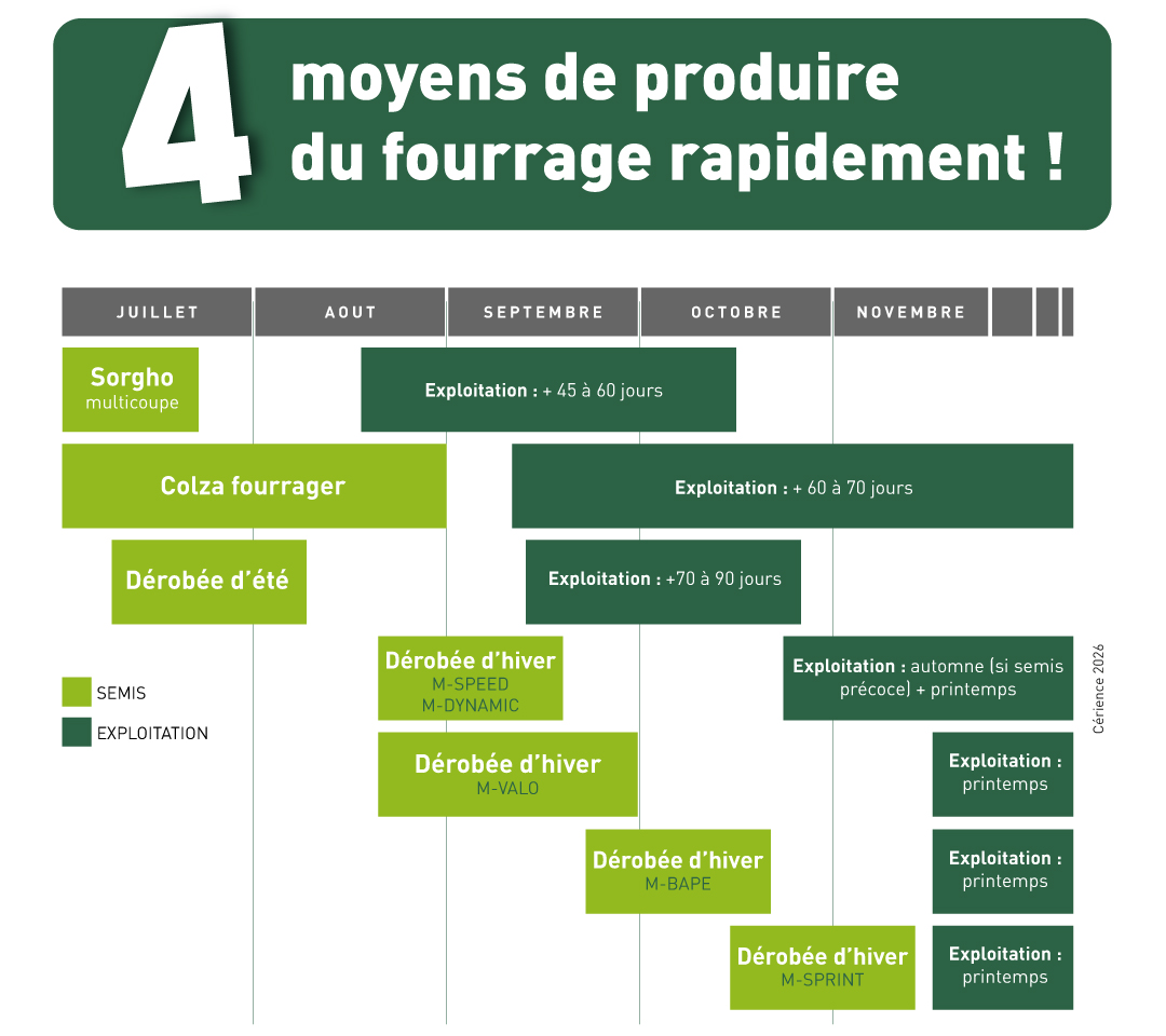 canicule : produire des stocks fourragers