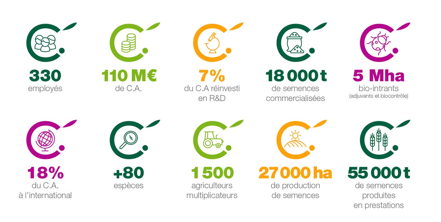 cerience-semence-chiffres-cles