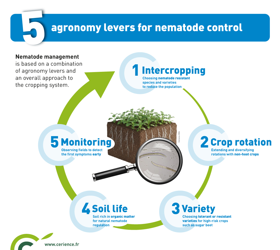 5 levers for nematode control