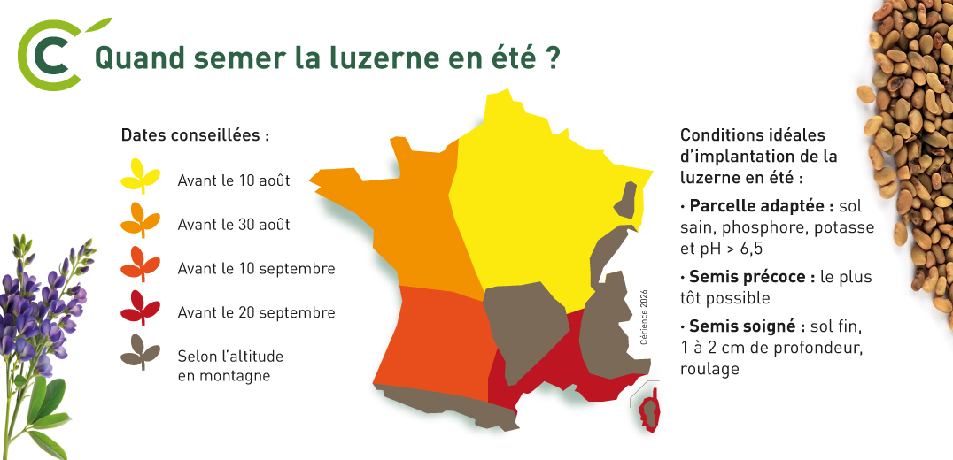luzerne, carte semis d'été