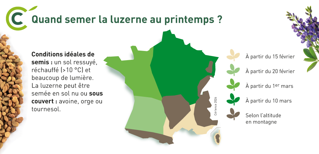 Date de semis de la luzerne au printemps