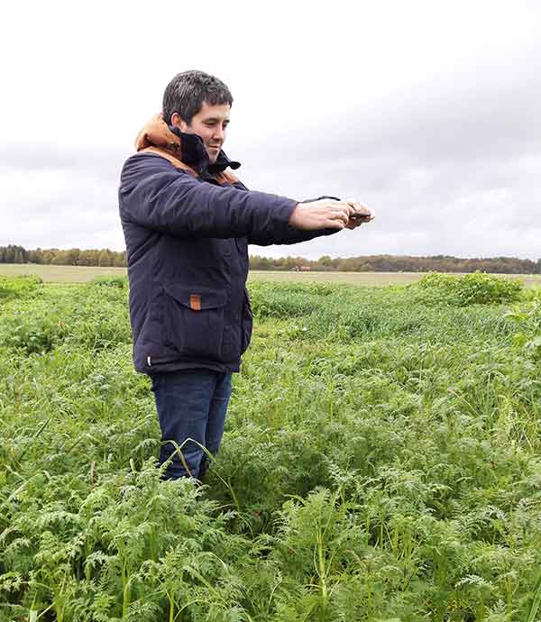 oad mychlorofiltre estimation biomasse couverts végétaux