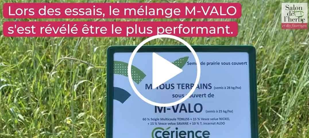 video semer sa prairie sous couvert