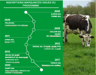 cerience-ray-grass-anglais-inscriptions