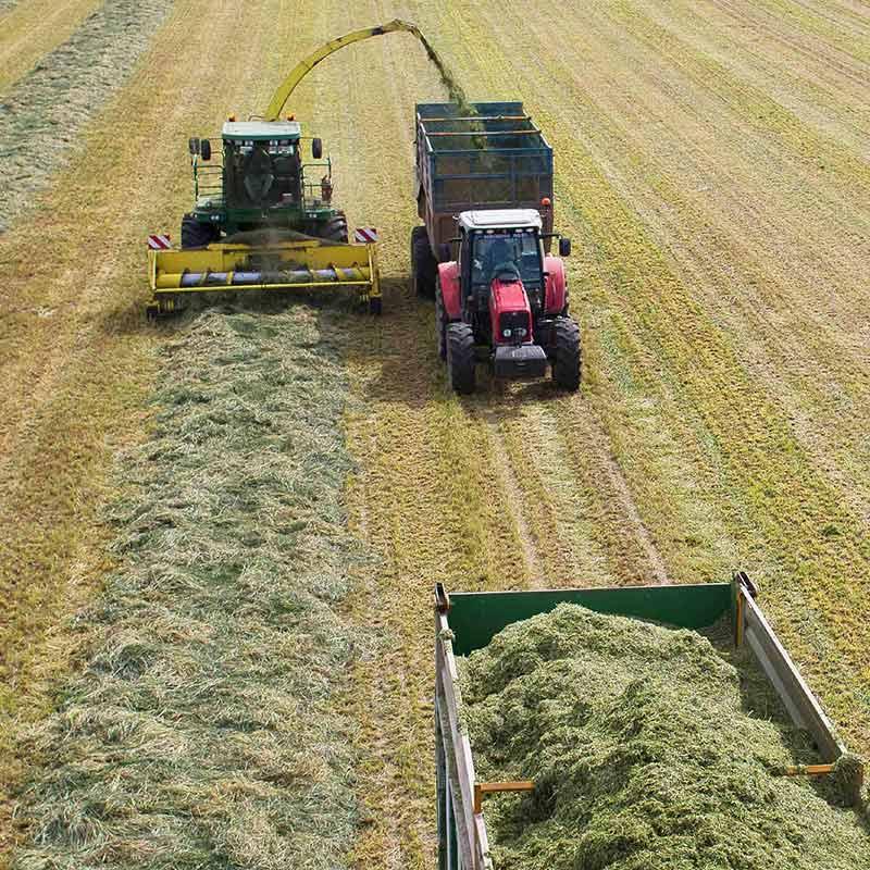 solutions conservateur ensilage mais silo-king ws 2