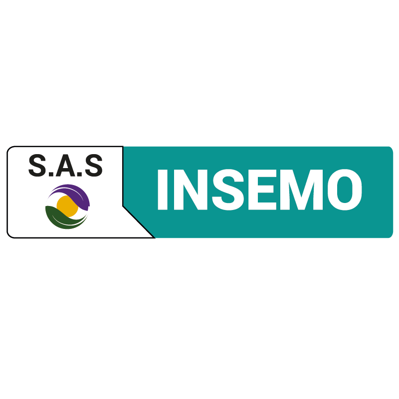 logo-SAS-INSEMO